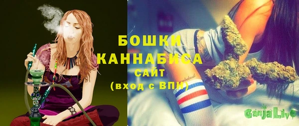 спиды Каменногорск