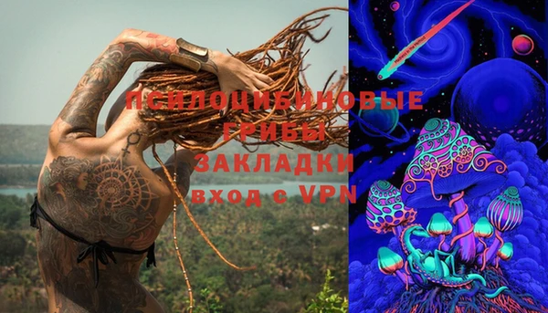 спиды Каменногорск