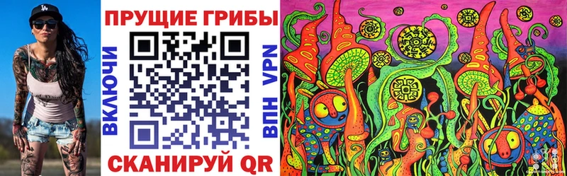 Галлюциногенные грибы MAGIC MUSHROOMS  Купить закладки  Тула 