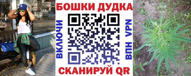 Конопля ГИДРОПОН  Купить где  Тула 